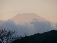 JAPAN-ISRAEL FUJI2