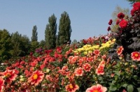 germany-mainau
