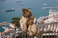 spain-gibraltar
